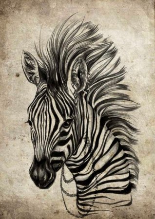 Тату Зебра полоски