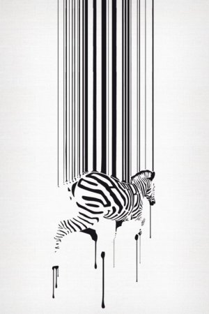 Зебра стилизация