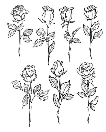 Цветы карандашом