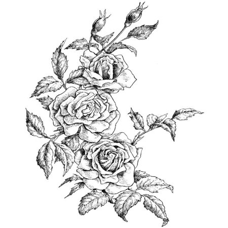 Роза эскиз