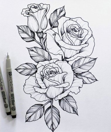 Роза эскиз