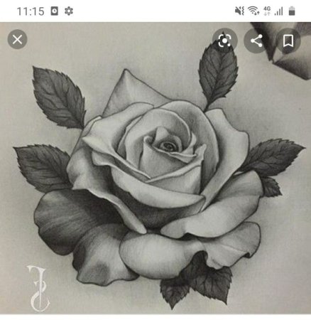 Тату роза эскиз