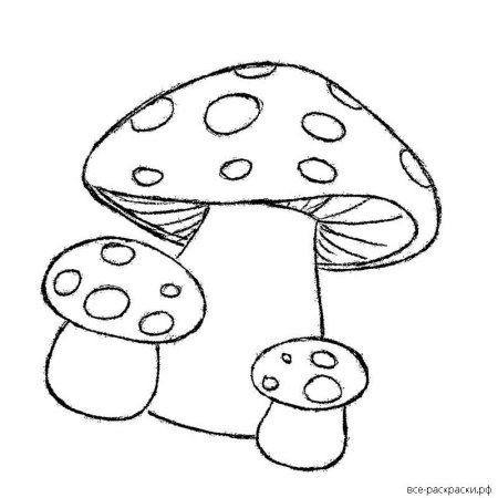 Мухомор рисунок карандашом