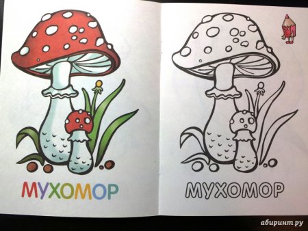 Мухомор рисунок