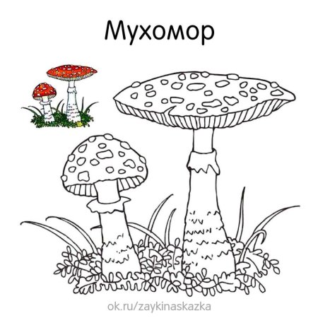 Грибы эскиз