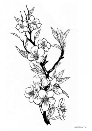 Сакура тату эскизы