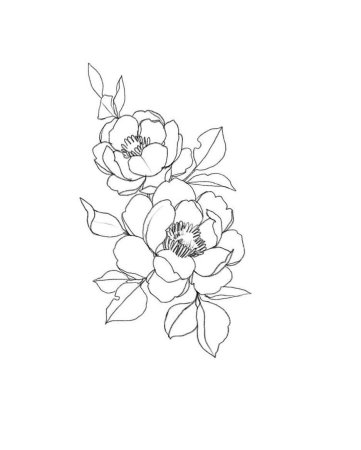 Цветы эскиз