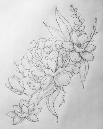 Магнолия випшейдинг