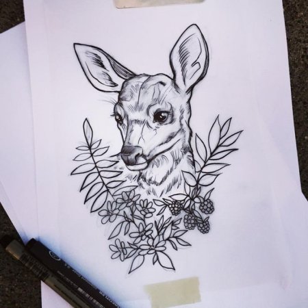 Олененок эскиз