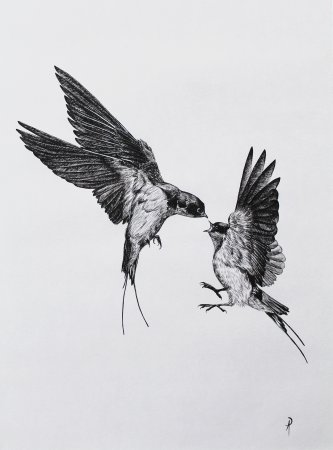 Птички тату эскиз