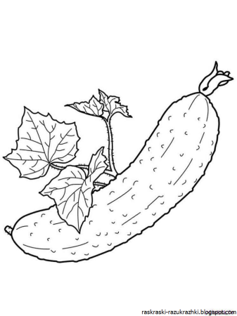 Огурец раскраска