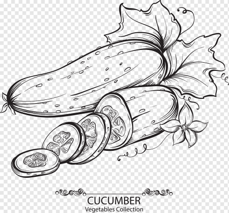 Огурец вектор