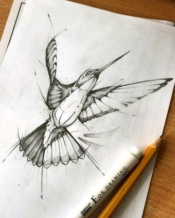 Птица скетч