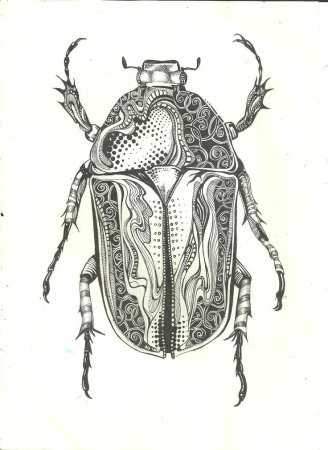 Стилизованные жуки Графика