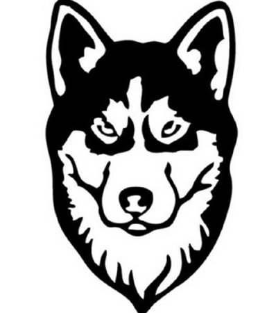 Сибирский хаски