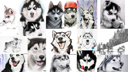 Распечатка хаски