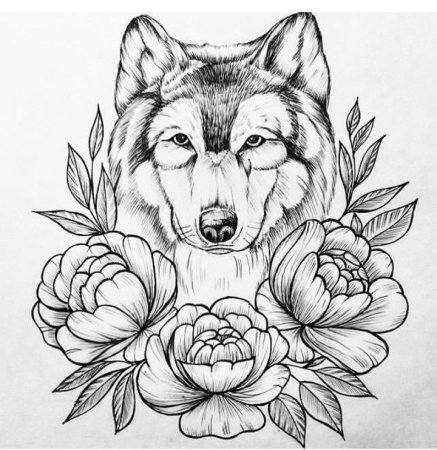 Тату волка эскизы для девушек