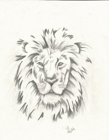 Голова Льва рисунок