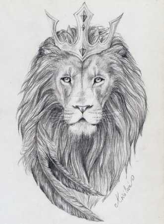 Лев эскиз