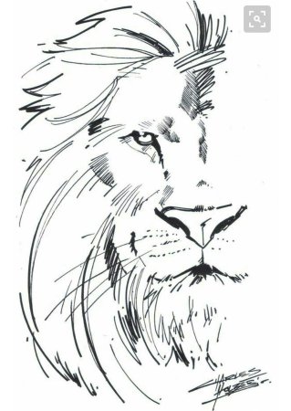 Лев тату эскиз