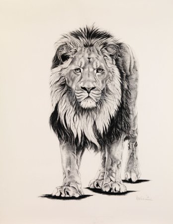 Тату Лев в полный рост