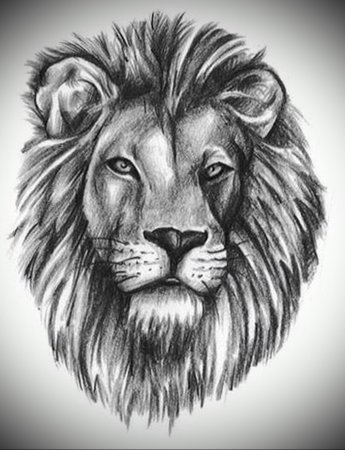 Тату голова Льва
