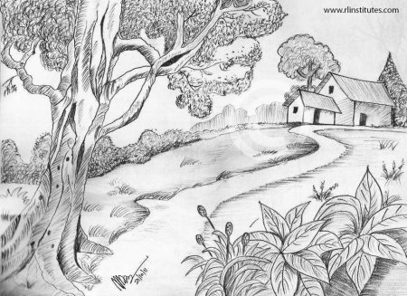 В лесу. Раскраска