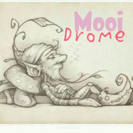 Гномы скетч