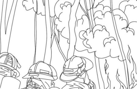 Рисунки для срисовки пожарный