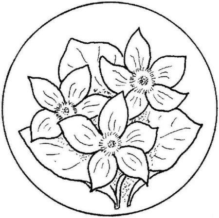 Эскиз тарелки