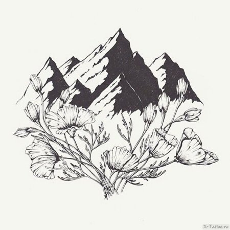 Природа Графика черно белая