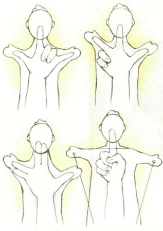 Эскиз перчаточной куклы