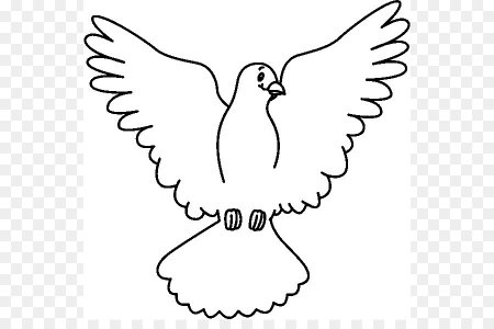 Голубь раскраска