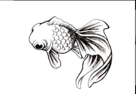 Зарисовки рыб