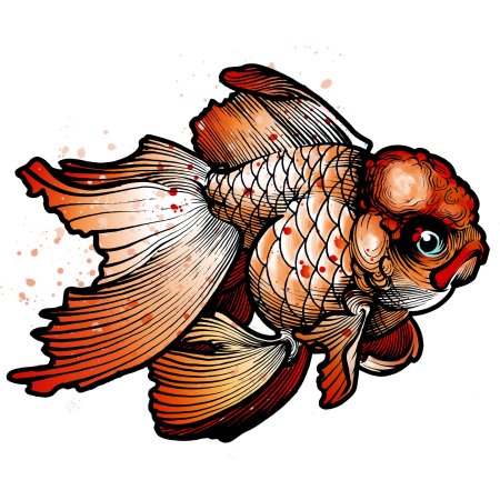 Рыбка петушок раскраска