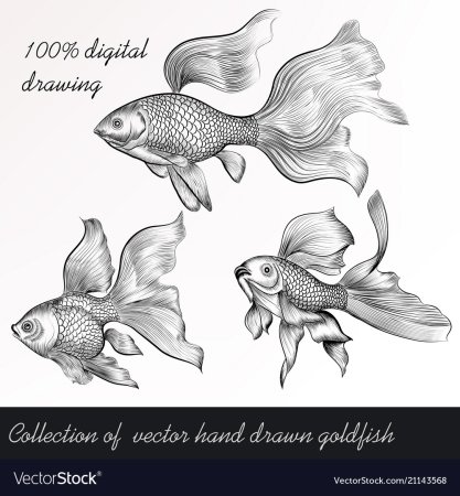 Рыбка эскиз