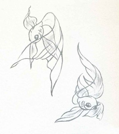 Япония рыбки карпы кои