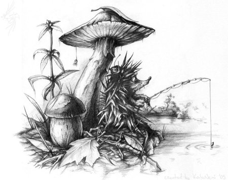 Рисунки в эскизах грибы (46 фото)