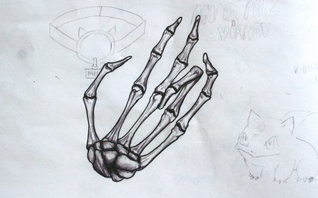 Кисть руки скелет