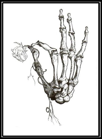 Рука скелета эскиз