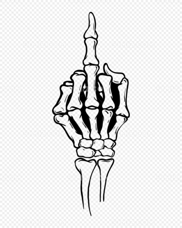 Скелет руки