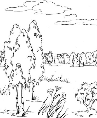 Осенний пейзаж раскраска