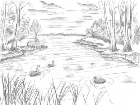 Эскизы для рисования природа