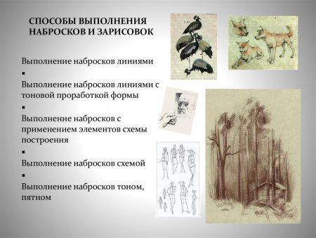 Выполнение набросков и зарисовок