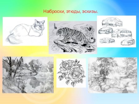 Виды рисунка набросок зарисовка