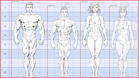Рисунок фигуры человека карандашом из геометрических фигур поэтапно
