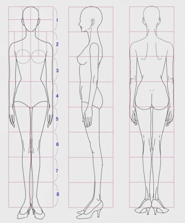 Пропорции женского тела для рисования