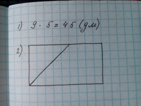 Площадь крышки