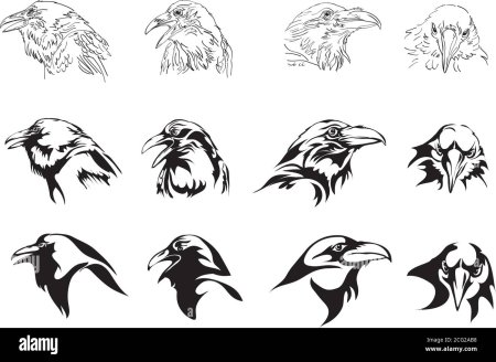 Голова ворона эскиз