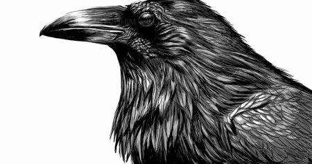 Голова ворона в профиль